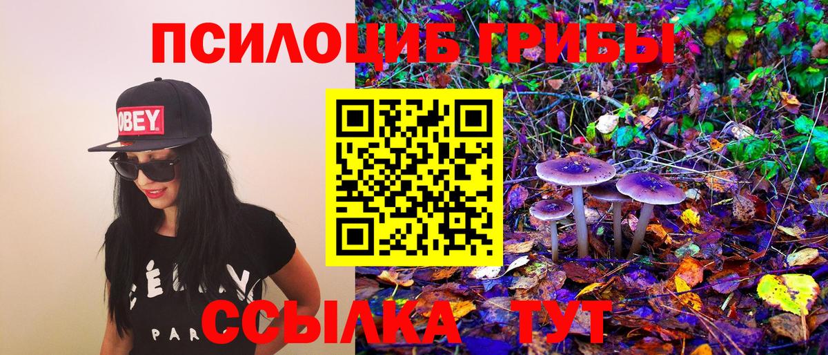 магазин  наркотиков  Псилоцибиновые грибы Psilocybe  Вход с VPN  Нурлат 