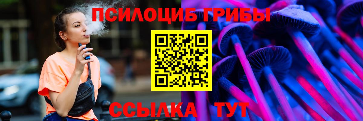 Псилоцибиновые грибы Psilocybe Нурлат
